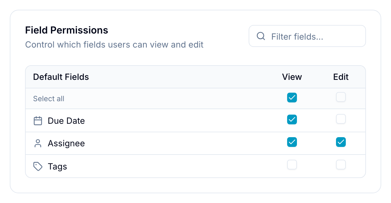 Custom fields access grid Custom Fields Access table listing field types with View and Edit checkboxes per field